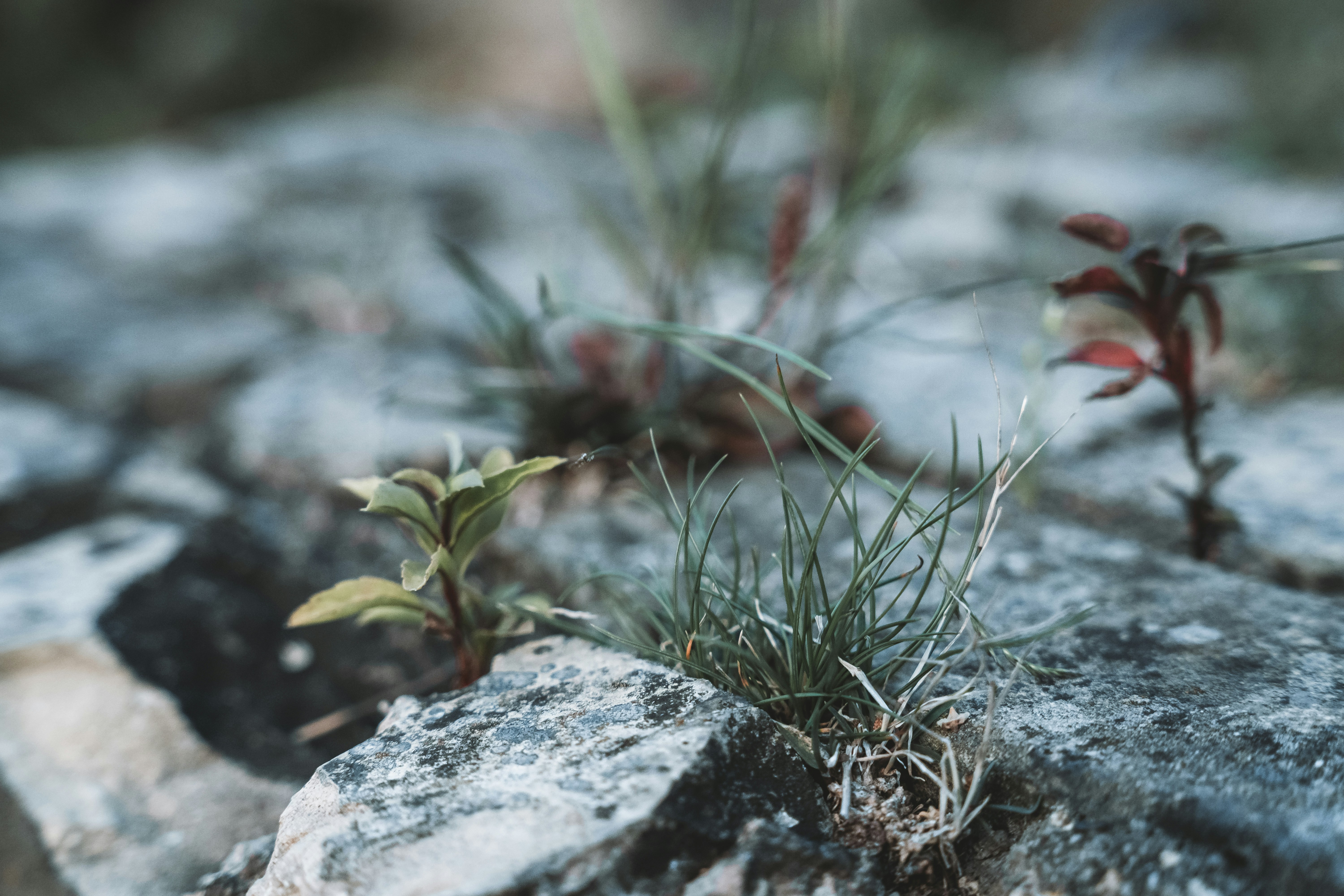 Overcoming Financial Setbacks with Faith and Resilience